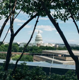 Jt29 amsq washington terrasse