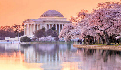 Farbspektakel in Pastell: Die Kirschblüte in Washington, D.C.