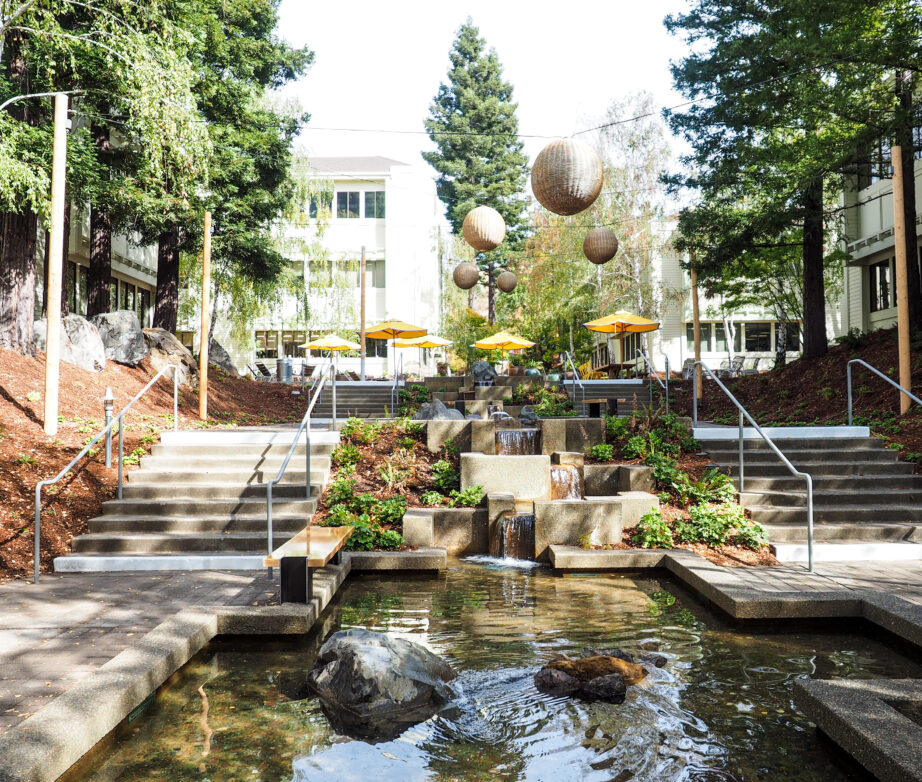 Blog nachhaltigkeit larkspur brunnen sanfrancisco